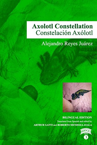 Imagen de archivo de Axolotl Constellation, Vol.3 (Bridges) a la venta por Lucky's Textbooks