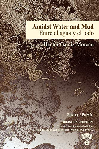 Imagen de archivo de Amidst Water and Mud / Entre el agua y el lodo (Bridges) a la venta por GF Books, Inc.