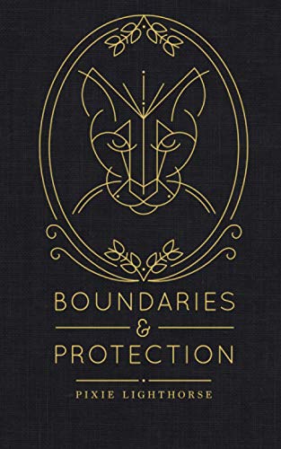 Imagen de archivo de Boundaries Protection a la venta por Goodwill Books