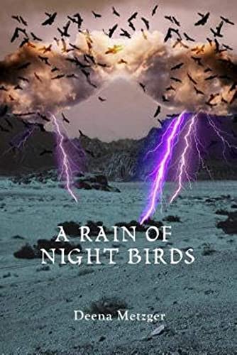 Stock image for A Rain of Night Birds for sale by Better World Books