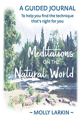 Stock image for Meditations on the Natural World: A Guided Journal To help you find the technique that's right for you for sale by SecondSale