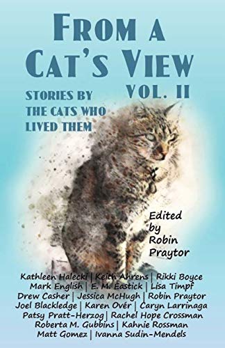 Imagen de archivo de From a Cat's View Vol. II: Stories Told By The Cats Who Lived Them a la venta por Revaluation Books