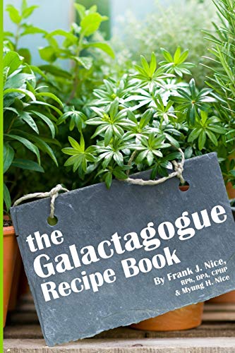 9780998502427: The Galactagogue Recipe Book
