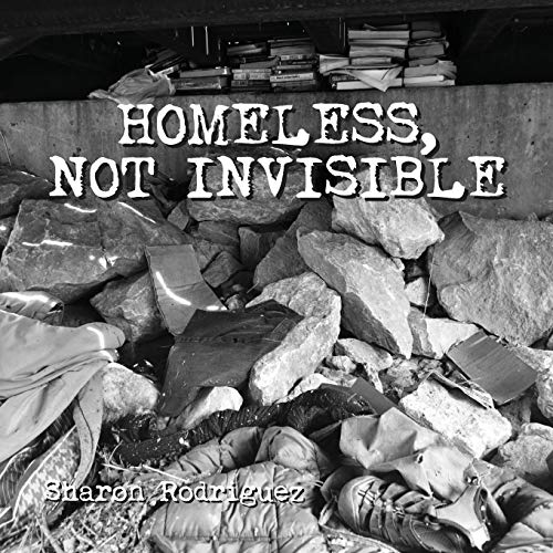 Beispielbild fr Homeless, not Invisible zum Verkauf von HPB Inc.