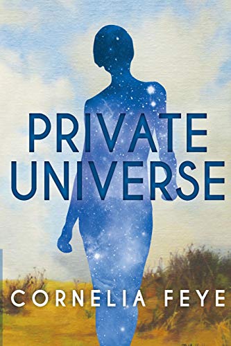 Stock image for Private Universe (Vega Stern Mysteries) (Volume 3) for sale by Better World Books: West