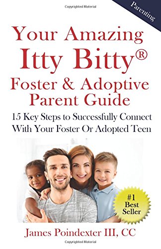Stock image for Your Amazing Itty Bitty Foster & Adoptive Parent Guide: 15 Key Steps to Successfully Connect With Your Foster Or Adopted Teen for sale by Your Online Bookstore