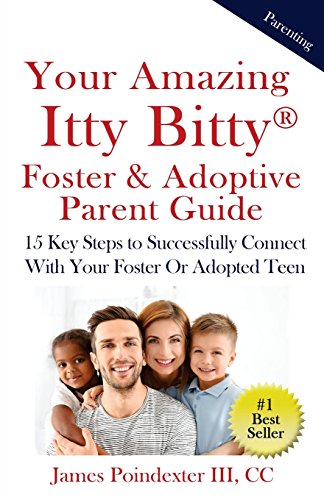 Stock image for Your Amazing Itty Bitty Foster & Adoptive Parent Guide: 15 Key Steps to Successfully Connect With Your Foster Or Adopted Teen for sale by Lucky's Textbooks