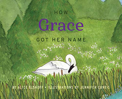Stock image for How Grace Got Her Name for sale by Goodwill Books