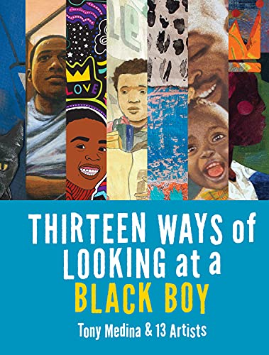 Stock image for Thirteen Ways of Looking at a Black Boy for sale by Better World Books