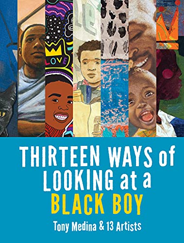 Stock image for Thirteen Ways of Looking at a Black Boy for sale by SecondSale