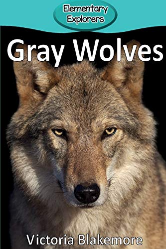 Stock image for Gray Wolves for sale by ThriftBooks-Atlanta