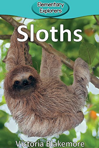 Beispielbild fr Sloths (Elementary Explorers) zum Verkauf von Gulf Coast Books