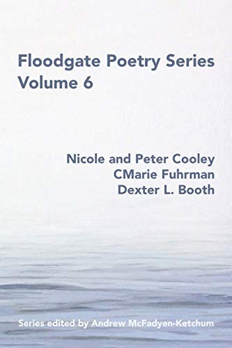 9780998897646: Floodgate Series Volume 6