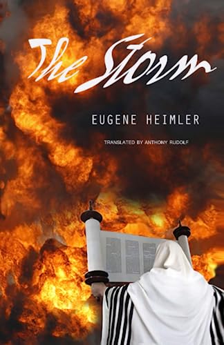 9780998959313: The Storm: The Tragedy of Sinai