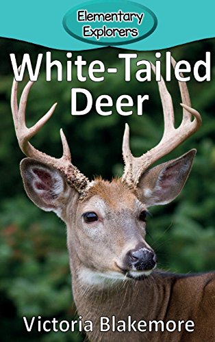 Beispielbild fr White-Tailed Deer (Elementary Explorers) zum Verkauf von PlumCircle