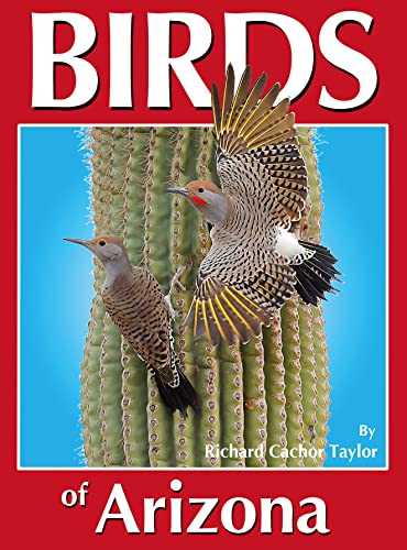 Imagen de archivo de Birds of Arizona a la venta por Lakeside Books