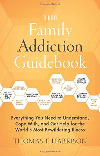 Beispielbild fr The Family Addiction Guidebook zum Verkauf von Better World Books