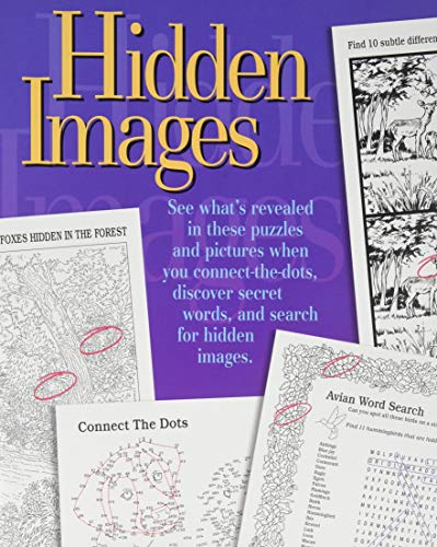 Stock image for Hidden Images! for sale by Your Online Bookstore
