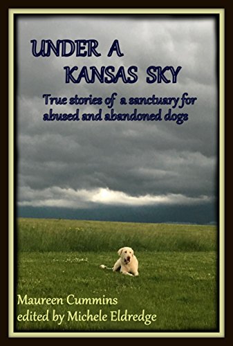 Beispielbild fr Under a Kansas Sky: True stories of a sanctuary for abused and abandoned dogs zum Verkauf von Better World Books: West