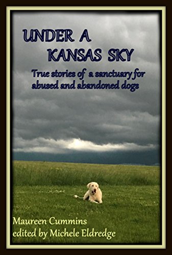 Stock image for Under a Kansas Sky: True stories of a sanctuary for abused and abandoned dogs for sale by Better World Books: West
