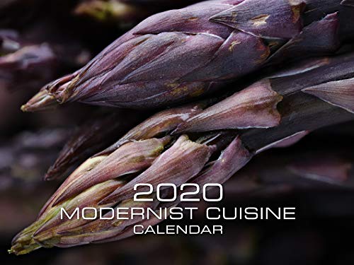 Stock image for 2020 Modernist Cuisine Calendar for sale by Save With Sam