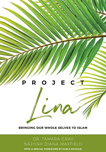 Beispielbild fr Project Lina zum Verkauf von Seattle Goodwill