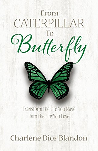 Imagen de archivo de From Caterpillar to Butterfly: Transform the Life You Have into the Life You Love a la venta por Lucky's Textbooks