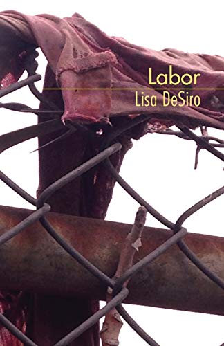 Stock image for Labor for sale by More Than Words