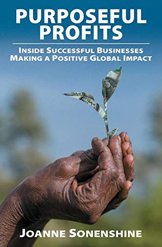 Beispielbild fr Purposeful Profits : Inside Successful Businesses Making a Positive Global Impact zum Verkauf von Better World Books