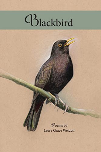 Stock image for Blackbird: poems for sale by HPB-Diamond