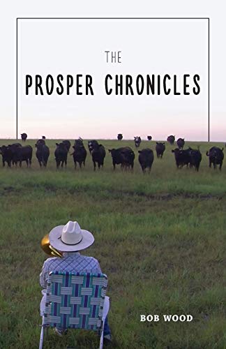 Stock image for The Prosper Chronicles for sale by BooksRun