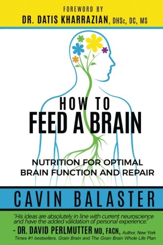 Stock image for How to Feed a Brain: Nutrition for Optimal Brain Function and Repair for sale by New Legacy Books