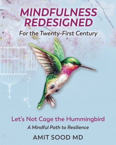 Imagen de archivo de Mindfulness Redesigned for the Twenty-First Century: Lets Not Cage the Hummingbird A Mindful Path to Resilience a la venta por Off The Shelf