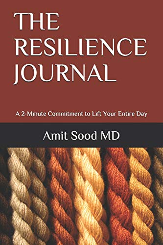 Imagen de archivo de The Resilience Journal: A 2-Minute Commitment to Lift Your Entire Day a la venta por HPB Inc.