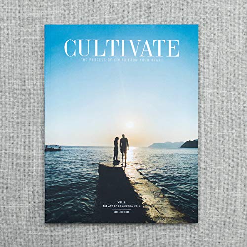 9780999657355: CULTIVATE VOL. VI : The Art of Connection Pt. II