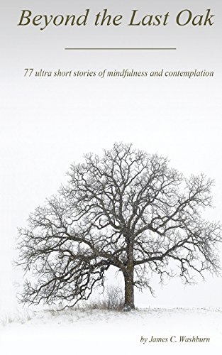 Beispielbild fr Beyond the Last Oak: 77 Ultra Short Stories of Mindfulness & Contemplation zum Verkauf von Project HOME Books