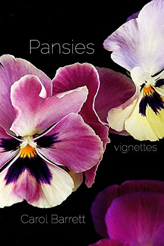 Imagen de archivo de Pansies a la venta por Better World Books