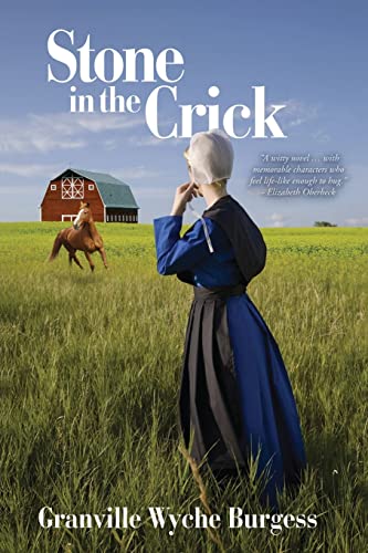 Stock image for Stone in the Crick (Rebecca Zook's Amish Romance) for sale by Lucky's Textbooks