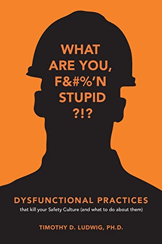 Stock image for Dysfunctional Practices: that kill your Safety Culture (and what to do about them) for sale by HPB-Red