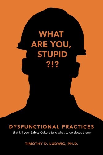 Stock image for Dysfunctional Practices: that kill your Safety Culture (and what to do about them) for sale by GF Books, Inc.