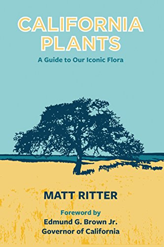 Stock image for California Plants : a Guide to Our Iconic Flora for sale by Mahler Books