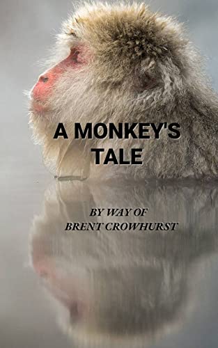 Imagen de archivo de A Monkey's Tale a la venta por More Than Words