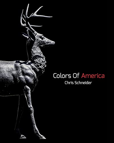 Stock image for Colors Of America: Photography Zine for sale by Lucky's Textbooks