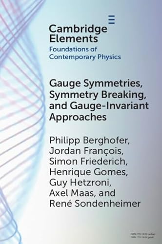 Imagen de archivo de Gauge Symmetries, Symmetry Breaking, and Gauge-Invariant Approaches a la venta por Revaluation Books