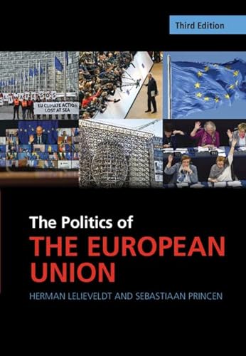 Stock image for The Politics of the European Union for sale by Blackwell's