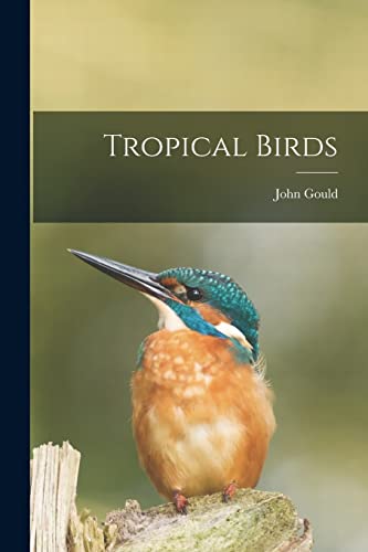 Stock image for Tropical Birds for sale by GreatBookPrices