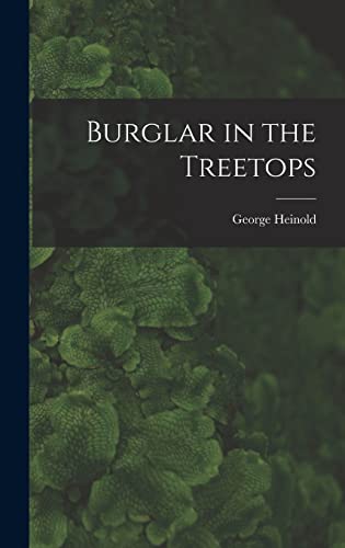 Stock image for Burglar in the Treetops for sale by Lucky's Textbooks