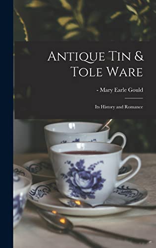 Stock image for Antique Tin & Tole Ware: Its History and Romance for sale by THE SAINT BOOKSTORE