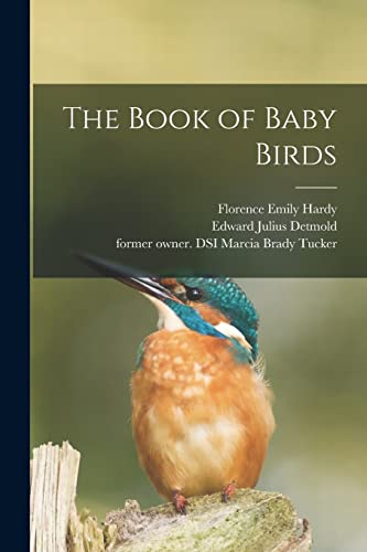 Stock image for The Book of Baby Birds for sale by Lucky's Textbooks