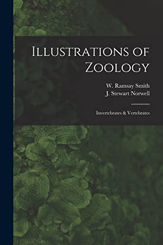 Stock image for Illustrations of Zoology : Invertebrates & Vertebrates for sale by Ria Christie Collections